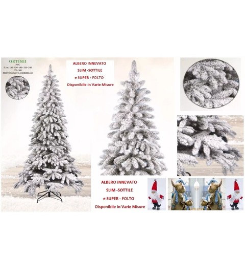 Enorme lotto alberi - di,